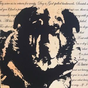 Meet your Posher, Darcy